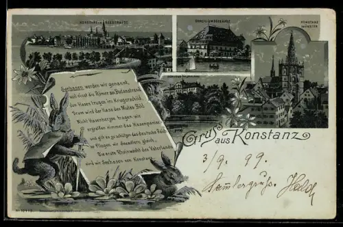 Mondschein-Lithographie Konstanz, Seestrasse, Schloss, Münster, Hasen
