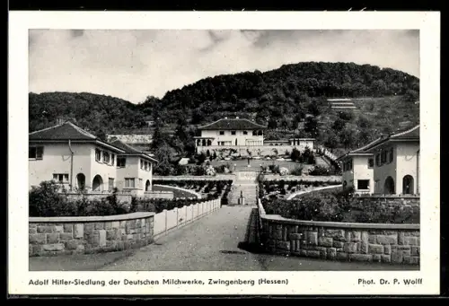 AK Zwingenberg /Hessen, Siedlung der Deutschen Milchwerke