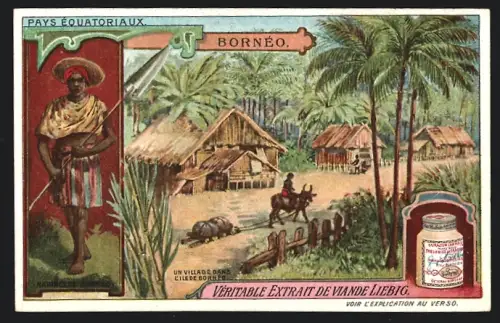 Sammelbild Liebig, Pays Équatoriaux, Borneo