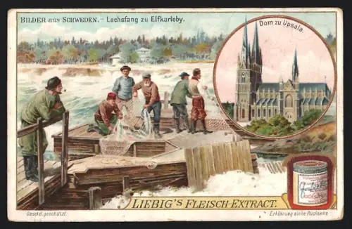Sammelbild Liebig, Bilder aus Schweden, Lachsfang zu Elfkarleby