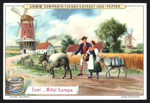 Sammelbild Liebig, Esel, Mittel-Europa