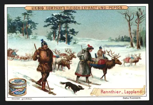 Sammelbild Liebig, Rennthier, Lappland