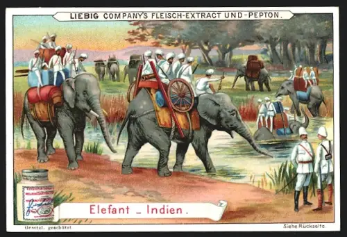 Sammelbild Liebig, Elefant, Indien