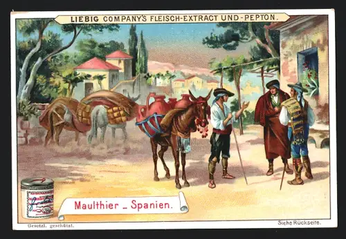 Sammelbild Liebig, Maultier, Spanien