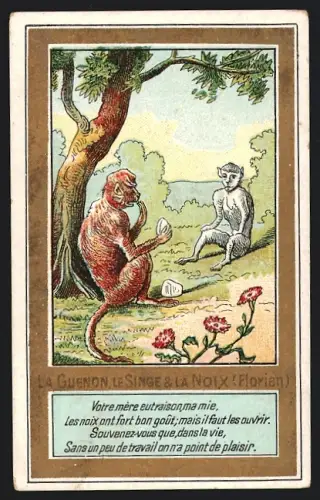 Sammelbild Chocolat Ibled, Zwei Affen sitzen unter einem Baum