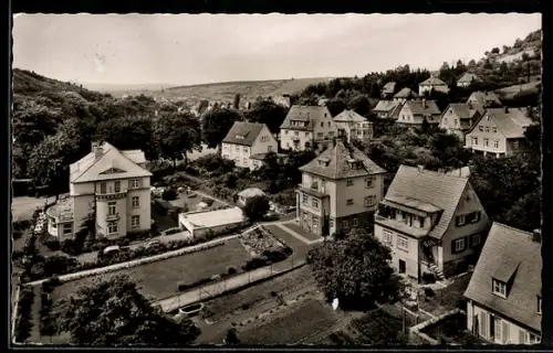 AK Bad Orb, Villenviertel am Kurpark