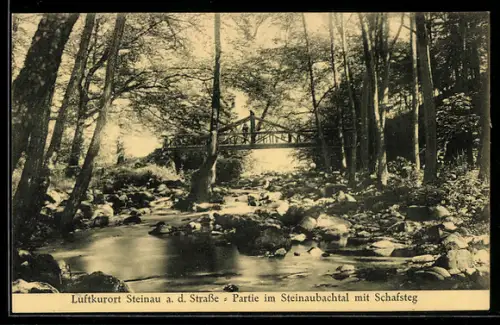 AK Steinau a. d. Strasse, Steinaubachtal, Schafsteg, Partie im Tal