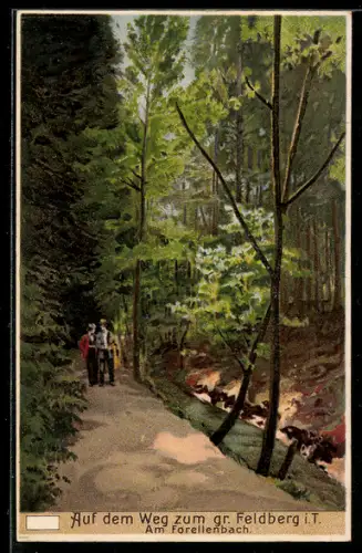 AK Feldberg, Am Forellenbach, Auf dem Weg zum gr. Feldberg
