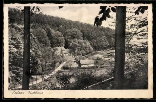 AK Arolsen, Weg zum Fischhaus