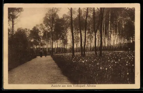 AK Hamburg-Altona, Ansicht aus dem Volkspark