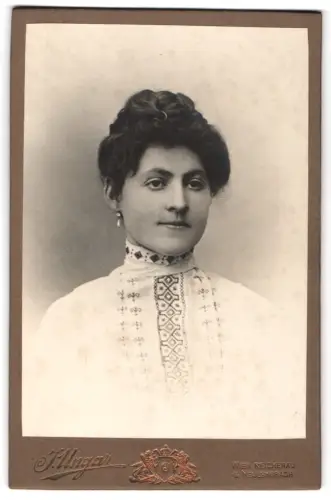 Fotografie J. Ungar, Wien, Jörgerstrasse 33, Portrait einer Dame