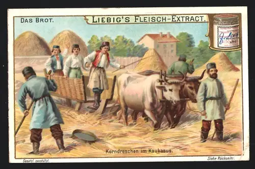 Sammelbild Liebig, Das Brot, Korndreschen im Kaukasus