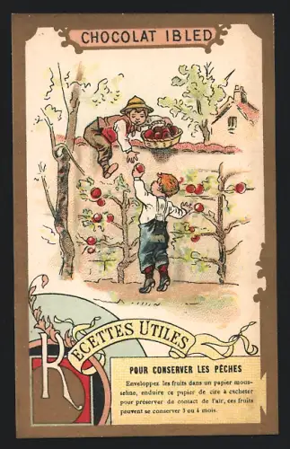 Sammelbild Mondicourt, Chocolat Ibled, Kinder beim Apfelpflücken