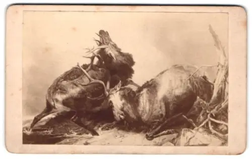 Fotografie Gemälde Kämpfende Hirsche, nach Ansdell
