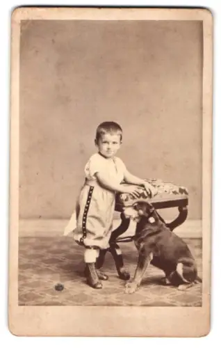 Fotografie A. Russler, Bamberg, Kleiner Junge mit seinem Hund