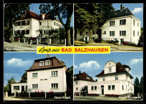 AK Bad Salzhausen, Hotel Haus Vogel, Kurpension Kraiss