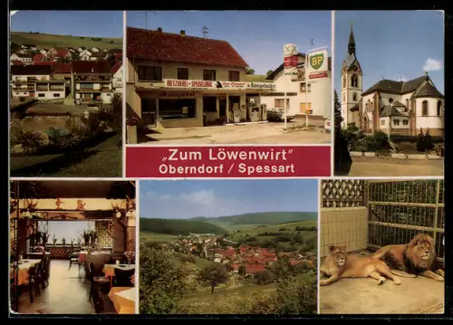 AK Oberndorf bei Bad Orb, Restaurant Zum Löwenwirt, Bes. M. Muthig, Metzgerei, Kirche, Löwen im Zwinger
