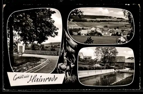 AK Hainrode über Bad Hersfeld, Ortsansichten, Dorfpanorama, Bachlauf