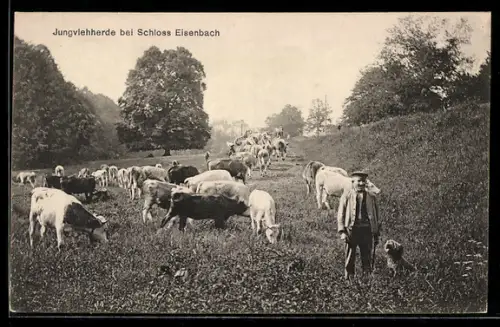 AK Eisenbach, Jungviehherde bei Schloss Eisenbach