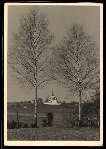 AK Taching am See /Oberbayern, Blick auf die Kirche von der Feldflur aus