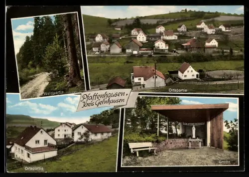 AK Pfaffenhausen /Gelnhausen, Ortsansichten, Waldpartie, Grotte