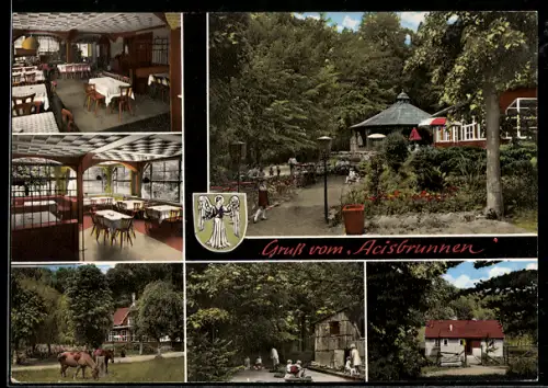 AK Schlüchtern, Gasthaus und Pension Acisbrunnen, Inh. Ludwig Scondo, Gartenansicht