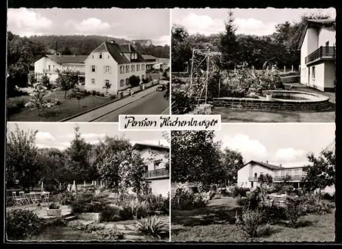 AK Bad Salzhausen /O.-Hessen, Pension Haus Hachenburger, Gartenansichten