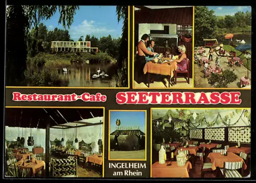 AK Ingelheim am Rhein, Restaurant-Café Seeterrasse, Seeblick, Fam. Znamenany, Terrasse, Gastraum