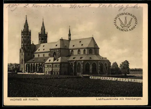 AK Worms am Rhein, Liebfrauenkirche mit Weinbergen