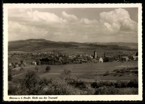 AK Steinau a. d. Strasse, Blick von der Trumpel