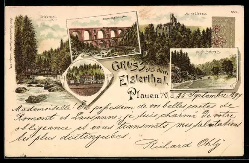 Lithographie Plauen, Ruine Libau, Elsterthalbrücke, Triebthal