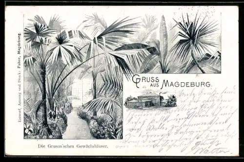 Lithographie Magdeburg, Gruson`sche Gewächshäuser, Innenansicht