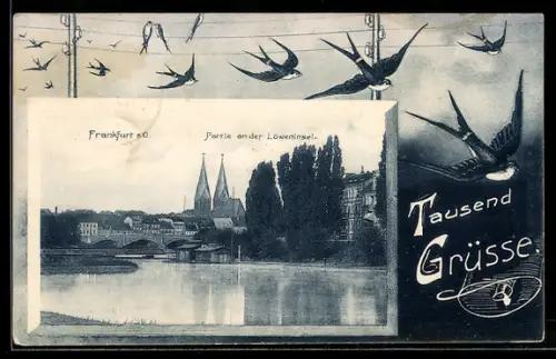 Grusskarten-AK Frankfurt a. O., Löweninsel mit Kirche, Schwalben im Flug