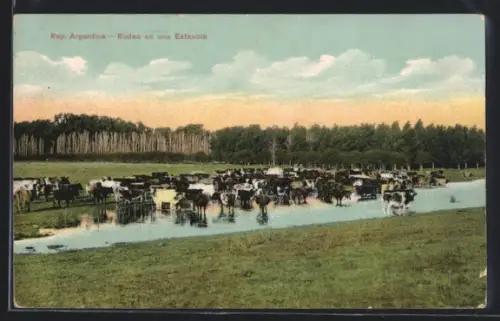 AK Argentina, Rodeo en una Estancia