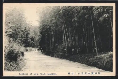 AK Nagasaki, Bamboos at Mogi Road