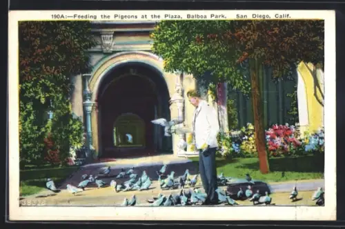 AK San Diego, CA, Balboa Park, Feeding the Pigeons at the Plaza