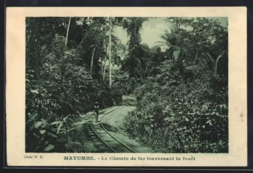 AK Mayumbe, Le Chemin de fer traversant la forêt