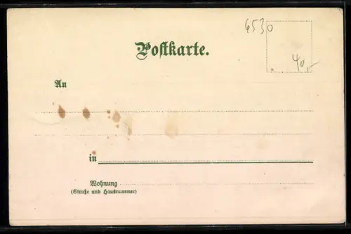 Lithographie Bingen / Rhein, Burg, Kirche, Rheinlandschaft