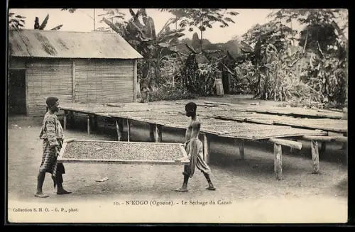 AK N`Kogo /Ogooué, Le Séchage du Cacao