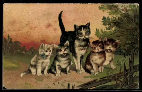 AK Katze mit Jungtieren