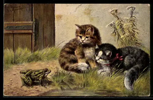 Künstler-AK August Müller - München: Zwei Katzen entdecken einen Frosch am Tümpel