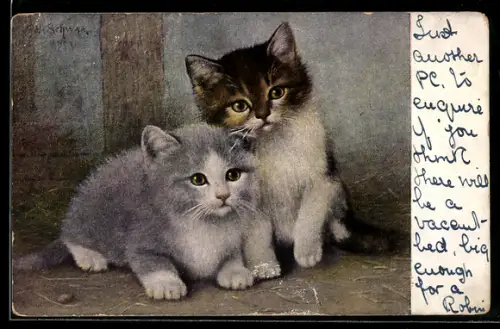 AK zwei junge Katzen