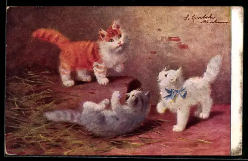 AK Drei kleine Katzen beim Spiel