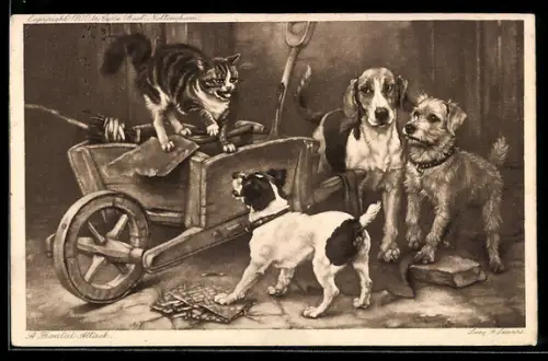 AK Fauchende Katze und drei Hunde im Stall
