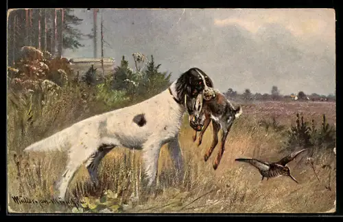 Künstler-AK M. Müller jun.: Hund mit Hasen im Maul