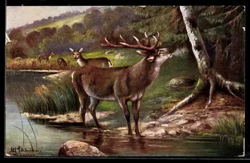Künstler-AK Alfred Schönian: Hirsch und Rehe am Ufer