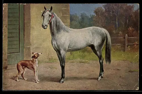 Künstler-AK Carl Reichert: Araber und Barzoi, Windhund und Vollblut, Pferd