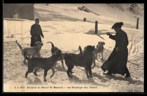 AK Bourg-Saint-Pierre, Hospice du Grand St. Bernard, Le Dressage des Chiens, Bernhardiner