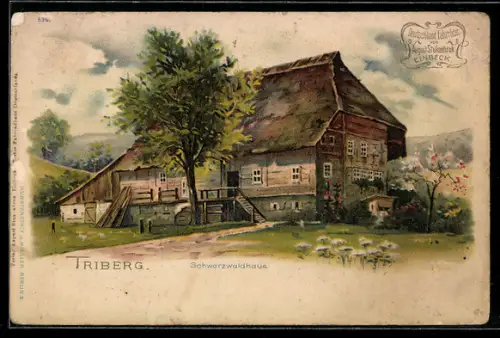 Lithographie Triberg, Blick zum Schwarzwaldhaus