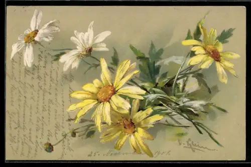 Künstler-AK Catharina Klein: Gelbe und weisse Blumen